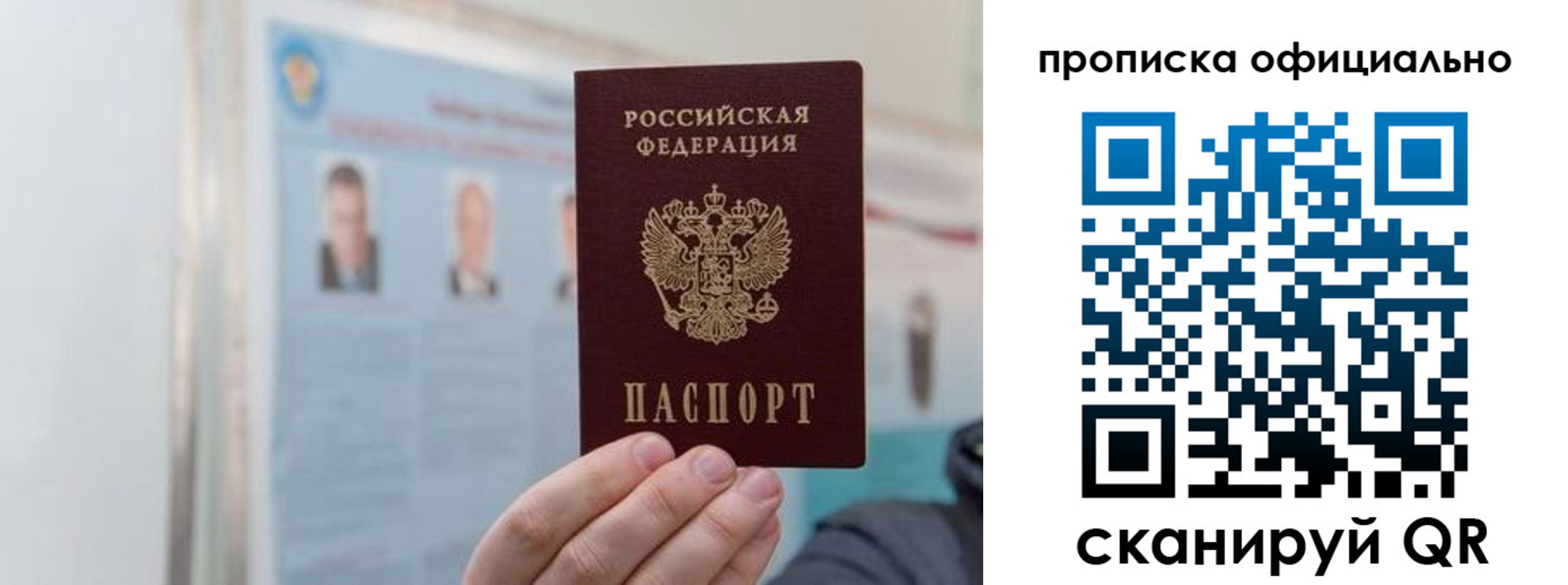 прописка гарантия в Кудрово
