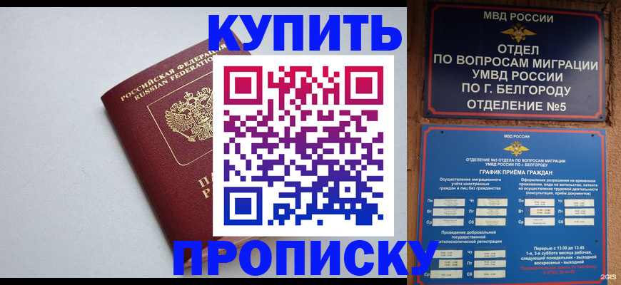 прописка регистрация в Кудрово